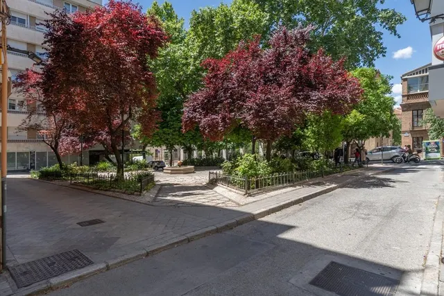 Piso en el centro de Granada, totalmente reformado con dos grandes dormitorios y un baño — 37