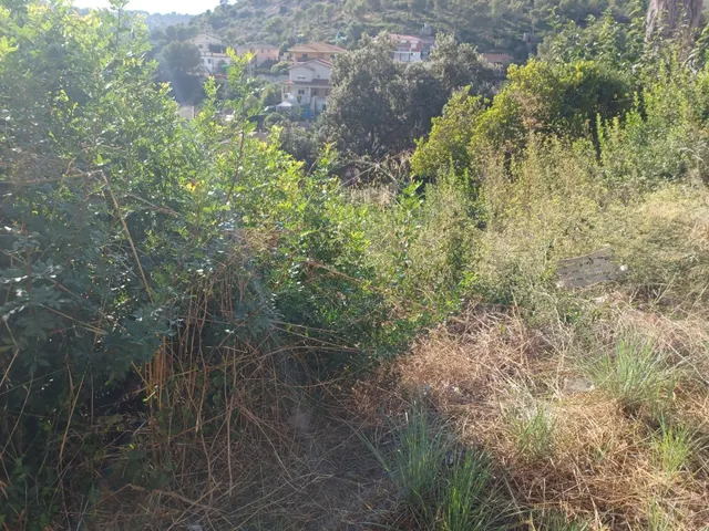 PARCELA EN VENTA DE 832 M2 EN CASTELLET I LA GORNAL URB.LOS ROSALES — 16