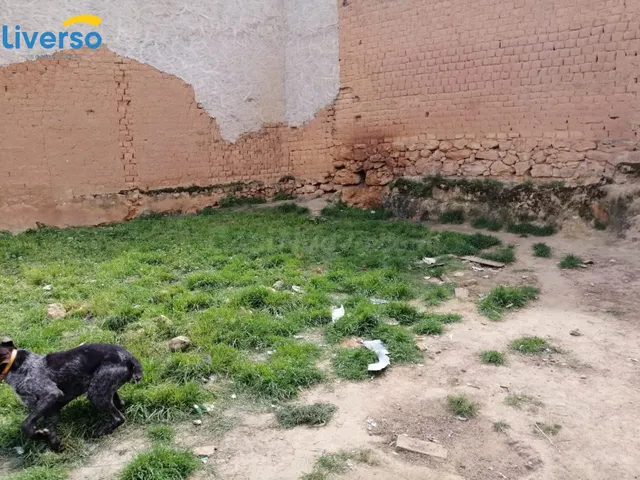 SOLAR DE 120 METROS CUADRADOS EN LA AGUILERA - foto 3