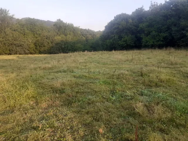 FINCA RUSTICA EN RAMALES DE LA VICTORIA (CANTABRIA) - foto 3