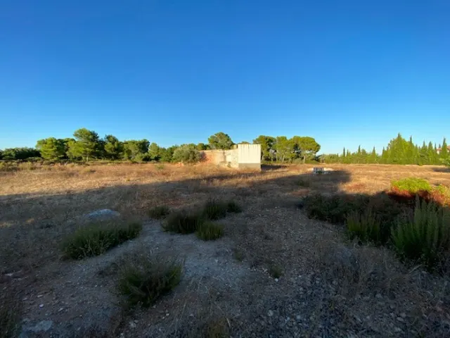 Fantástica finca a 1,5 km del mar en l'Ampolla — 7