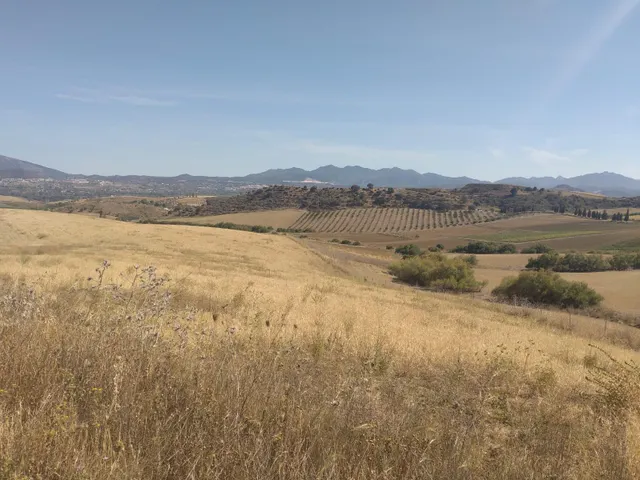 !!EN VENTA TERRENOS NO URBANIZABLES DE GRAN EXTENSIÓN!! — 11