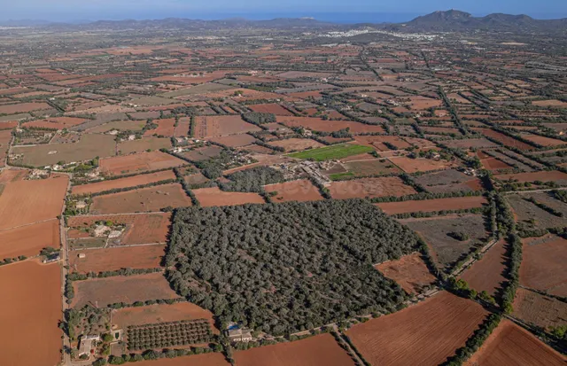 Terreno edificable en Felanitx - foto 3