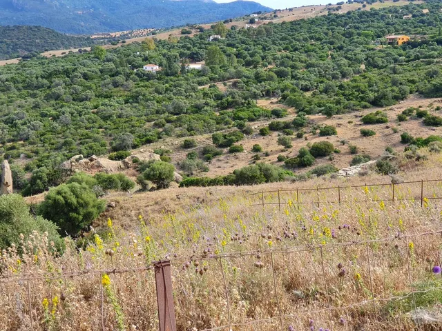 Parcela en venta - Costa Del Sol - foto 4