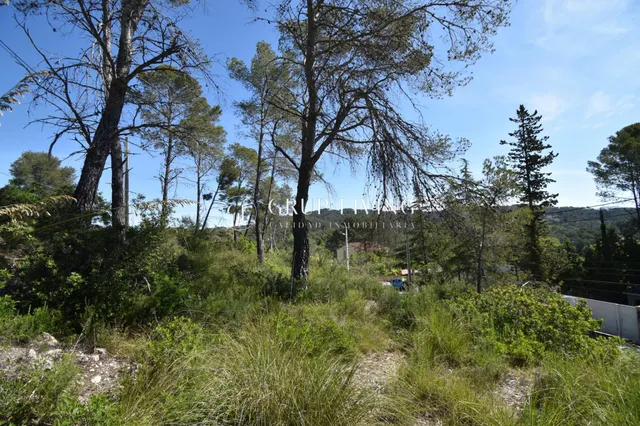 TERRENO EN MAS MESTRE, OLIVELLA — 4