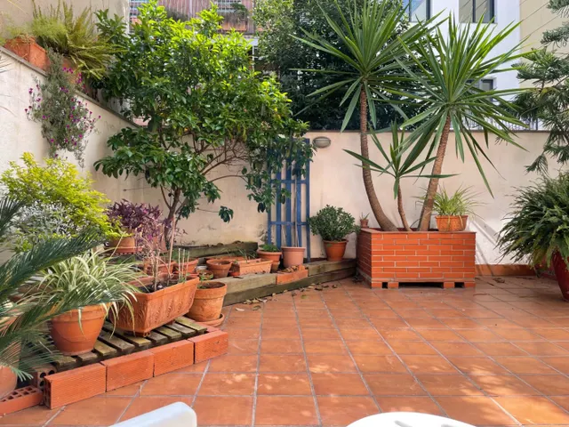 Planta baja con gran patio en el centro de Sant Feliu de LLobregat. — 19