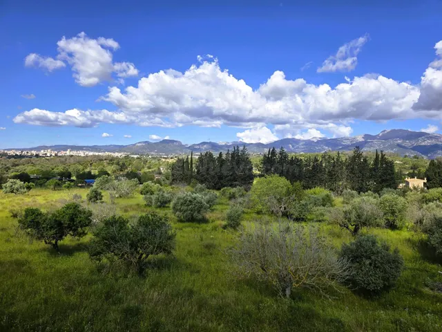 Finca Rustica en Inca. - foto 3