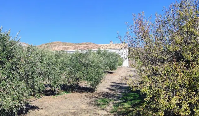 MACAEL ( ALMERÍA ). VENTA DE CASA DE CAMPO DE UNA PLANTA CON