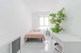 Co-Living  - Ideal Inversionistas — 18
