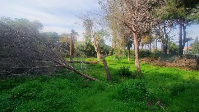 Parcela 727m² en venta - Marbella — 5