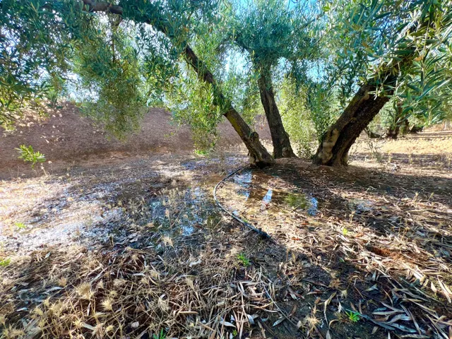 ALBOLOTE - PANTANO CUBILLAS — 44