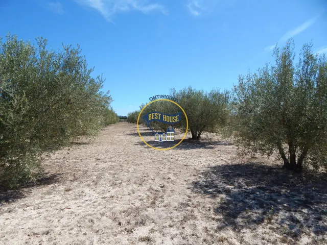 TERRENO DE 17.900M2  EN PRODUCCIÓN CON POSSIBILIDAD DE CONSTRUIR EN AGULLENT(VALENCIA) — 7