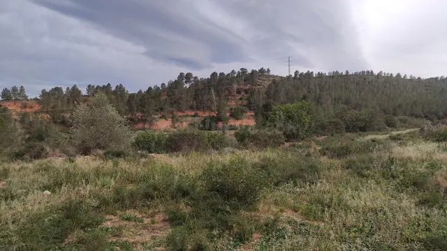 Venta de finca rústica en Xerta - foto 5