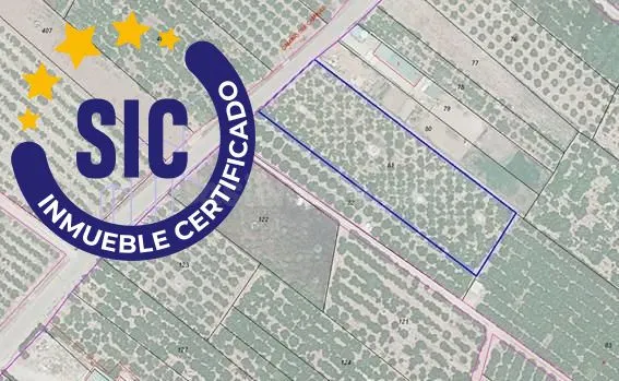 TERRENO RÚSTICO EN VENTA EN NULES