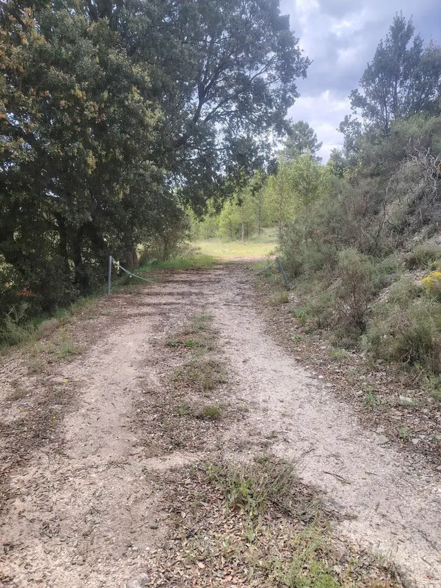 Terreno rural en venta - Castilla la mancha - foto 3