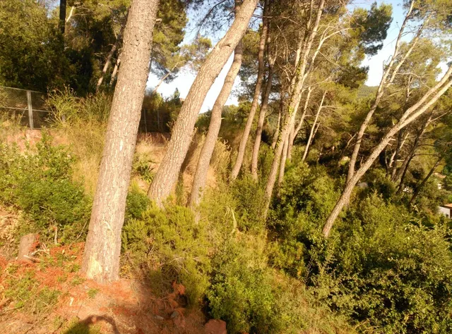 Espectacular terreno que da a dos calles, en Corbera de Llobregat, cerca Hotel Can Fisa. — 40