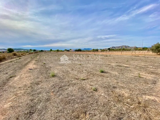 VENTA DE PARCELA EN ASPE EN LA ZONA PARAJE DE LA HORNA - foto 2