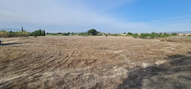 ++Terreno Rústico en Molina de Segura zona El Llano de Molina, 8326 m — 4