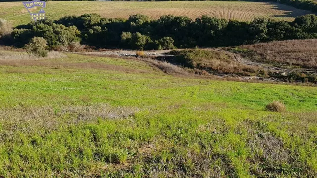 SE VENDE PARCELA EN CARRETERA ARCOS-ALGAR — 5