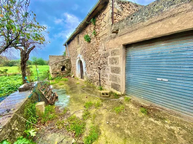Finca rústica con caseta y 6000m2 para tus proyectos de campo — 3