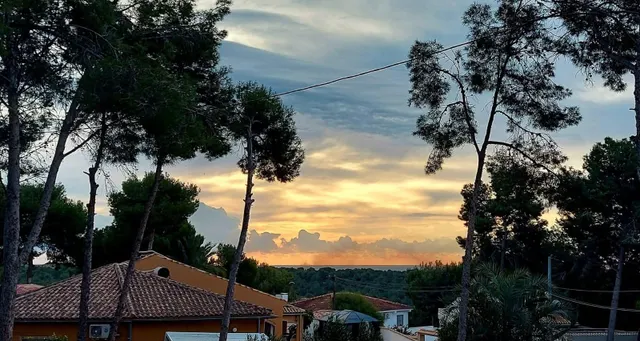 Venta de vivienda única en el Pinar de Campoverde — 7