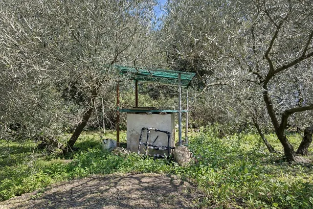 En venta maravillosa finca Rustica de Olivos — 45