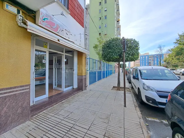 LOCAL COMERCIAL EQUIPADO COMO CARNICERIA — 2