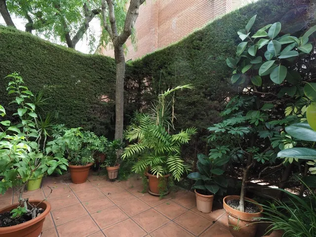 CASA EN PG. MISERICORDIA — 20