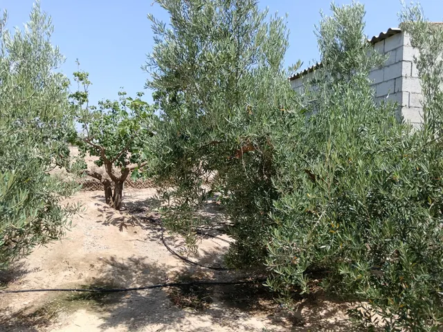 Se vende finca en Huércal-Overa, El Saltador!!!! — 11