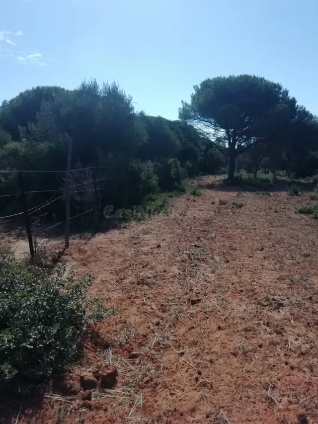 Parcela en la Muela - foto 2