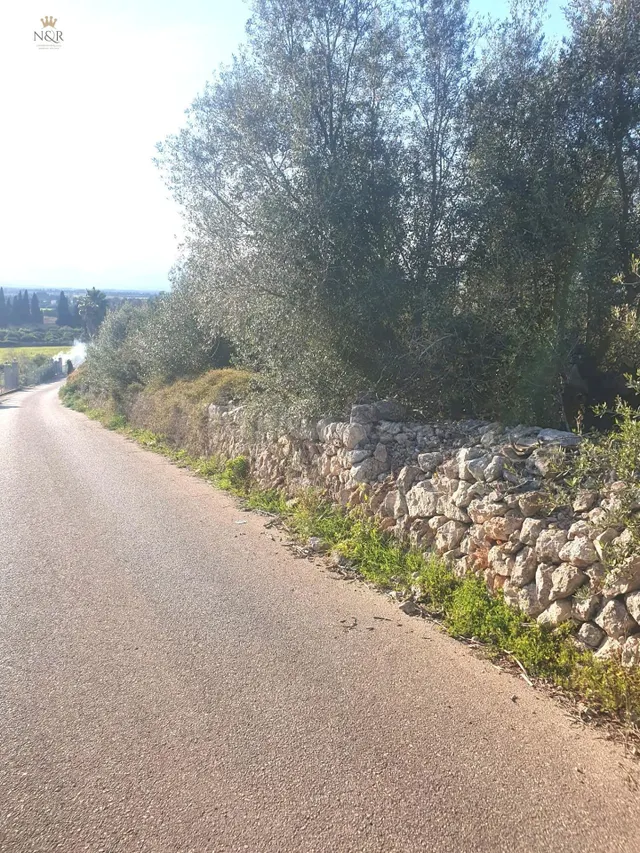FINCA RÚSTICA EN MURO CON CASETA DE 28 M2 - foto 3