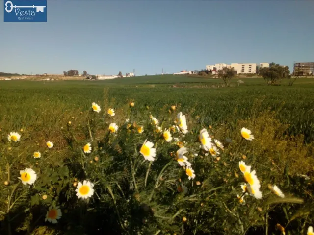 TERRENO EN VENTA EN LA CARRETERA DEL CALVARIO - foto 5