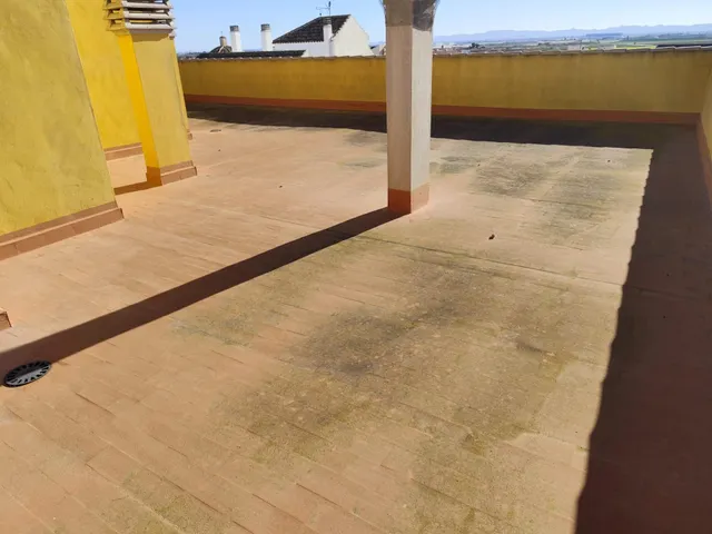 Nueva aventura en Balsapintada — 22