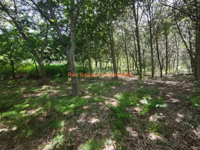 REF 2896 SOLAR 1500m2 CON PROYECTO Y LICENCIA ( MOS ) — 29