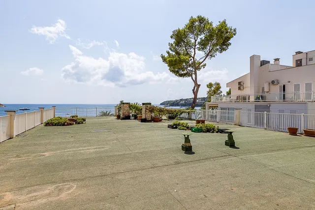 Local comercial en primera línea de playa en Magaluf — 16