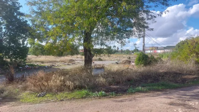 TERRENO PARAJE SAN GABRIEL — 5