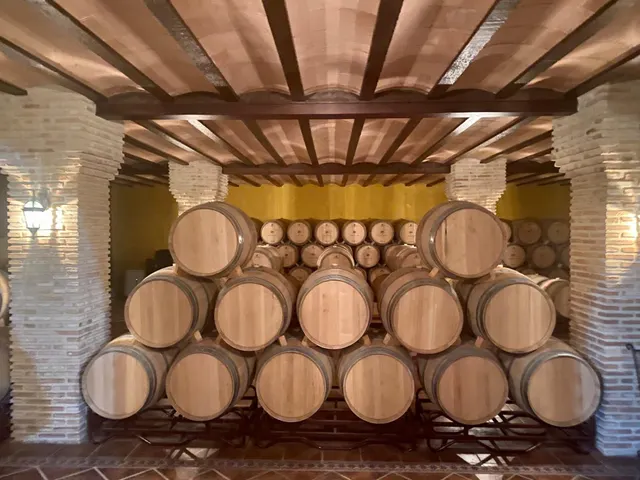 Fantastica y exclusiva Bodega en La Mancha — 6