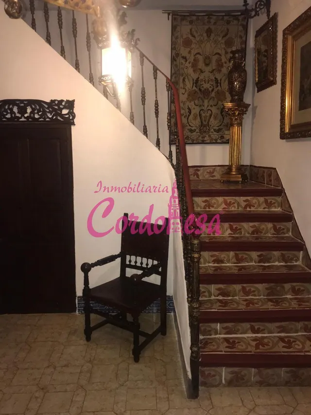 MAGNIFICA CASA SEÑORIAL EN VILLAVICIOSA DE CORDOBA — 11