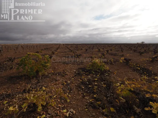 Se vende 13,3 hectareas de viña airen TODO DECLARADO DE AGUA - foto 4