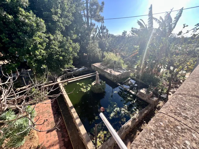 Finca rústica al lado de Muro — 33