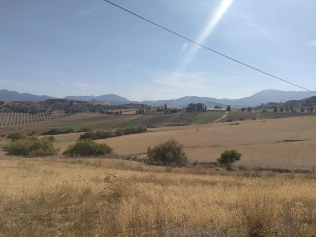 !!EN VENTA TERRENOS NO URBANIZABLES DE GRAN EXTENSIÓN!! — 10