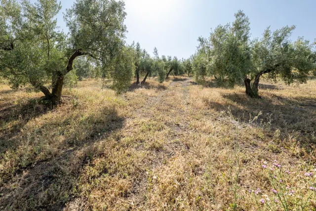 Terreno urbano en Alfacar, perfecto para inversionistas — 16