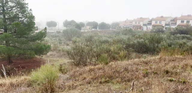 Urbis te ofrece unas parcelas en venta en Boecillo, Valladolid. — 16