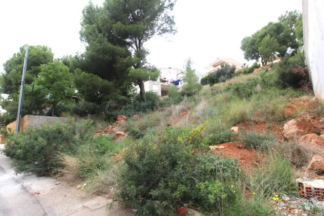 Terreno urbanizable con proyecto en Náquera. — 3