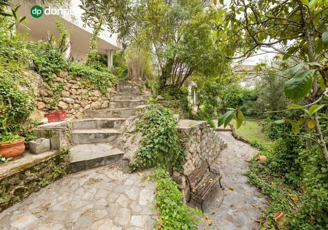 Chalet con gran parcela en Cogollos — 3