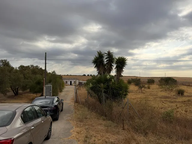 ¡Ocasión en Trigueros! Finca rústica totalmente legalizada con excelente acceso y gran tranquilidad — 8