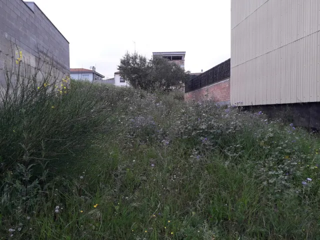 TERRENO URBANIZABLE — 10