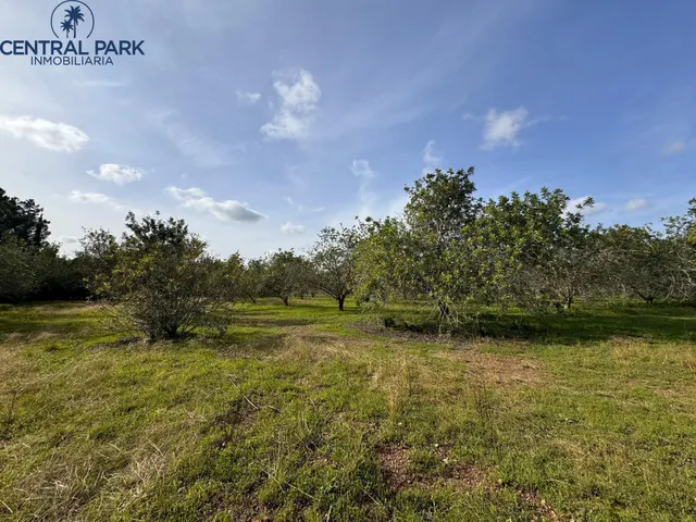 Gran Masia catalogada en Reus con gran extensión de terreno - Mas del Senan - Finca rústica en Reus. — 44