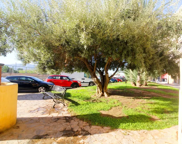 Oportunidad de Inversión en Orihuela: Entresuelo a Reformar por €60,000 — 7