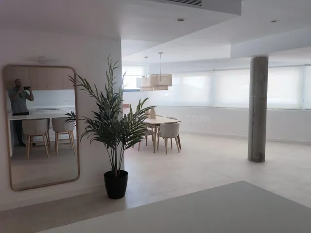 AMPLIO APARTAMENTO DE 3 DORMITORIOS RECIÉN REFORMADO EN RÍO  - foto 5